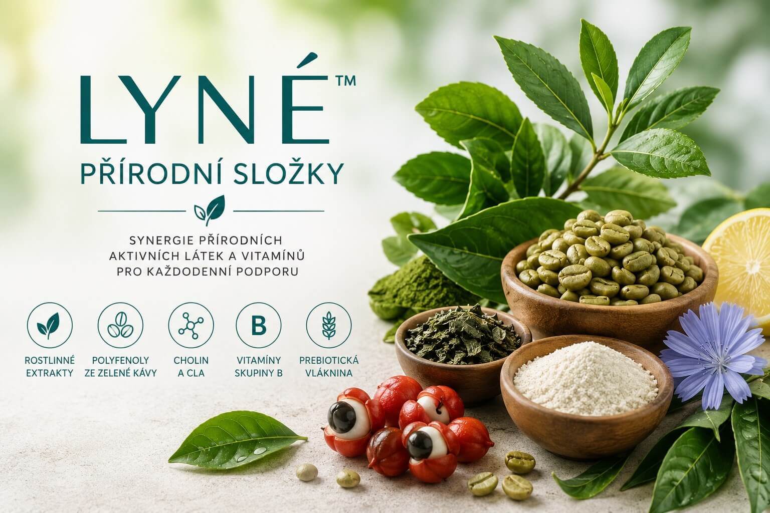 LYNÉ přírodní složky